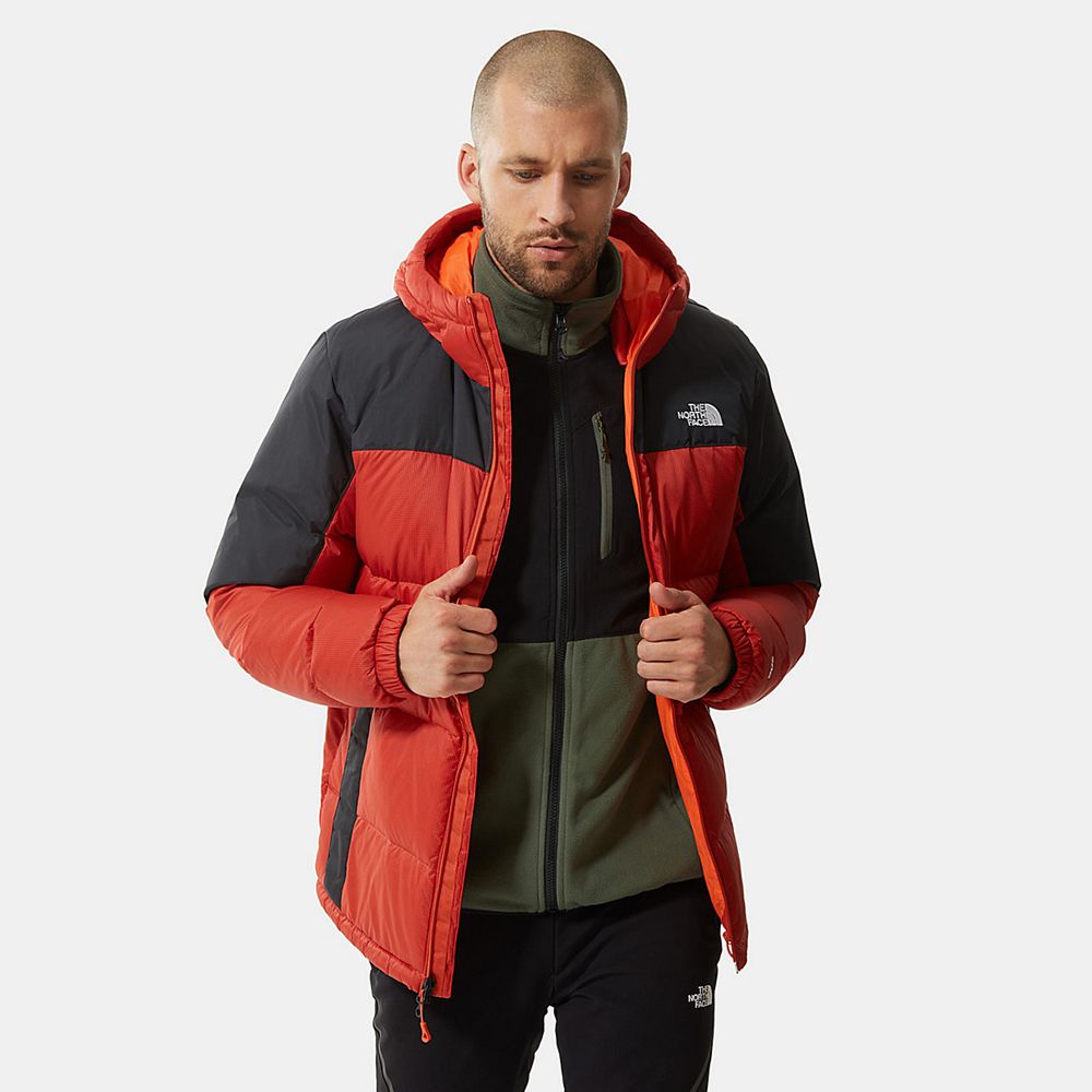 The North Face Winter Jacket Mens Australia - The North Face Diablo Hooded Orange / Black Hiking (ZE